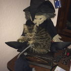 Hexenkatze Elli...