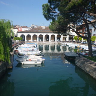 Qui dove batte il mio c...