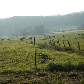ist das nicht ein Idyll...