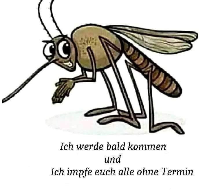 ich brauche dringend ne Impfung gegen Myxomatose!