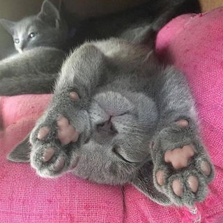 Relax - Frankie goes to...