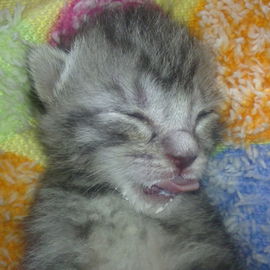 27.04.2012 heute bin ic...