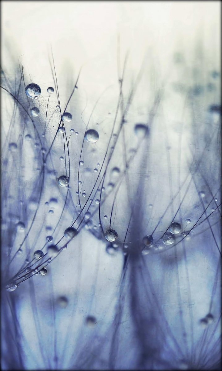 Es sind die kleinen Augenblicke die das Leben lebenswert machen ...