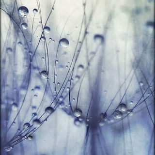 Es sind die kleinen Aug...