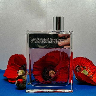 Amber Pour Homme von Pr...