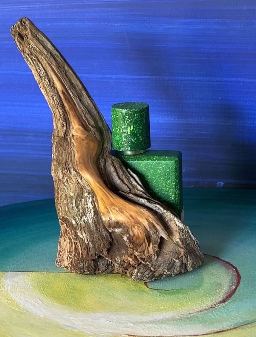 Das Treibholz von der Küste am Pudgetsound erzählt Geschichten …