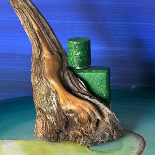 Das Treibholz von der K...