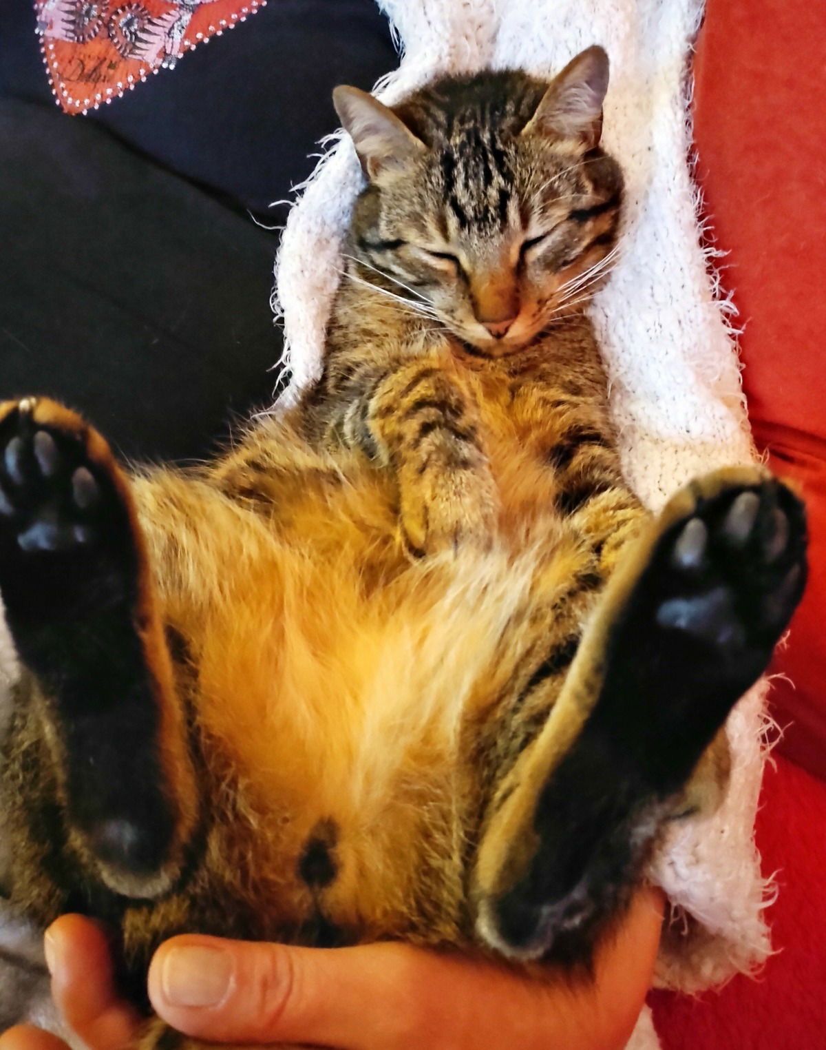 totale entspannung;-)