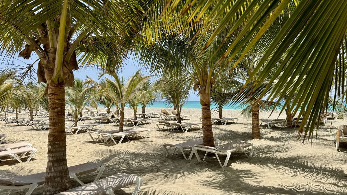 Afrikanisches Paradies