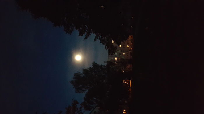 Hinlegen! Schlafenszeit.