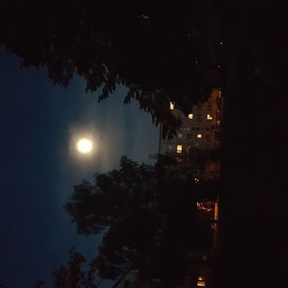 Hinlegen! Schlafenszeit...