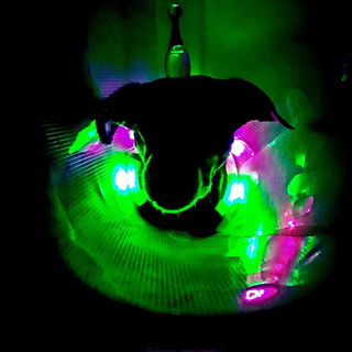 Giorgia presents: Jad...