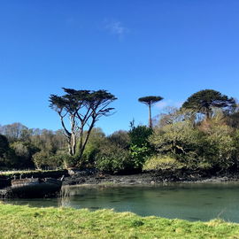Bei Dunboy Castle