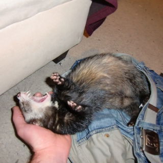 Müüüde..... (das ist...