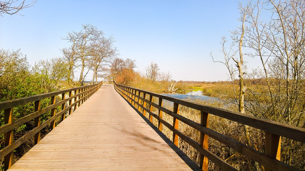 Links die Ostsee, rechts das Naturschutzgebiet (Kolobrzeg-Podczele)