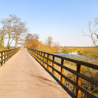 Links die Ostsee, recht...