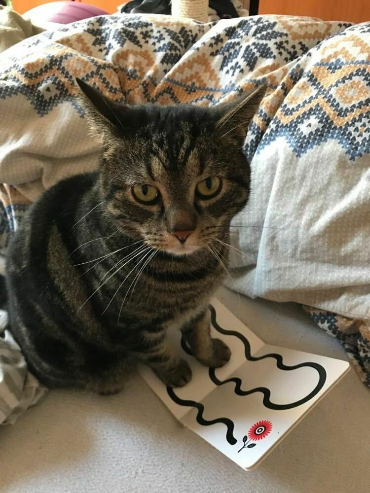 Morgen mit Oli