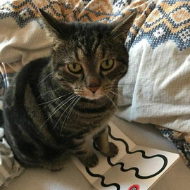 Morgen mit Oli