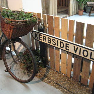 Gorilla Perfume Gallery...