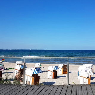 2018 ...trotz Sommerfer...