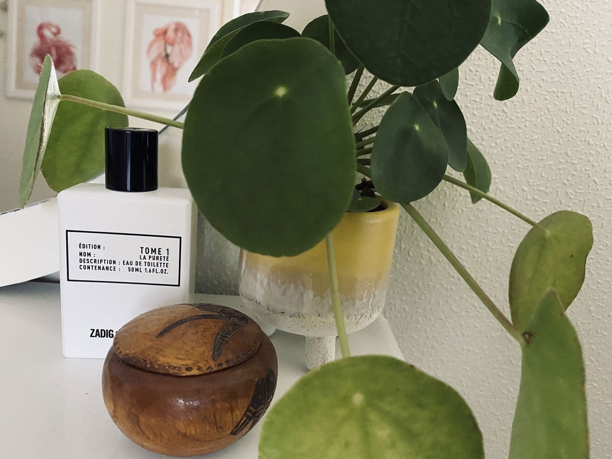 my temporary one & only