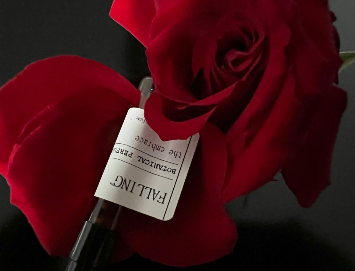 Falling / Gather / 02.11.2023 // Das ist das Original. (Die Moderation hatte es gedreht und damit die Aussage verfälscht.)