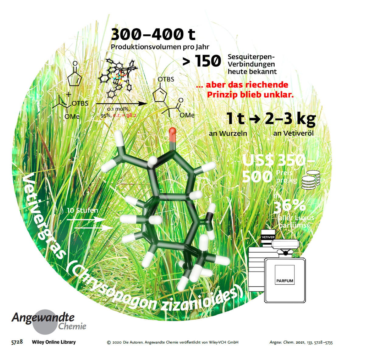 DAS Vetiver-Molekül. Die chemische Struktur, die hauptverantwortlich für den Dufteindruck von Vetiver ist. Erst jüngst aufgeklärt, da Vetiveröl sehr komplex ist und sehr viele Komponenten enthält, von denen "erst" 150+ aufgeklärt sind.