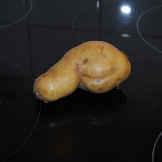 Der dümmste Bauer hat ...