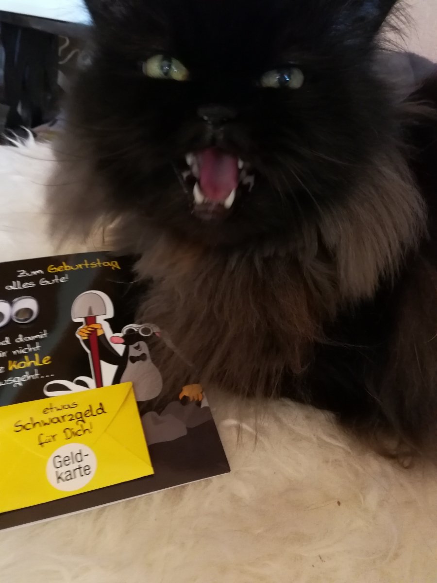 Merlin und seine Geburtstagspost....🪦