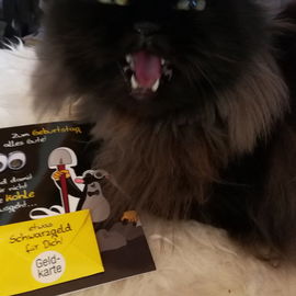 Merlin und seine Geburt...
