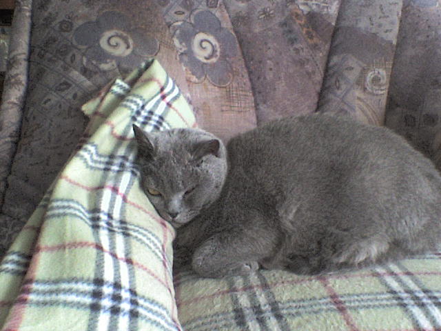 Moritz immer noch beim Dösen