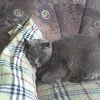 Moritz immer noch beim ...