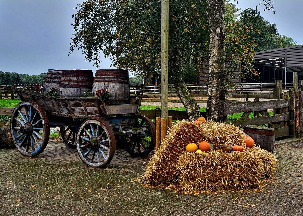 Herbst Niederlande
