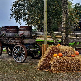 Herbst Niederlande