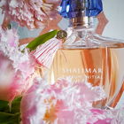 Shalimar Initial L'eau...