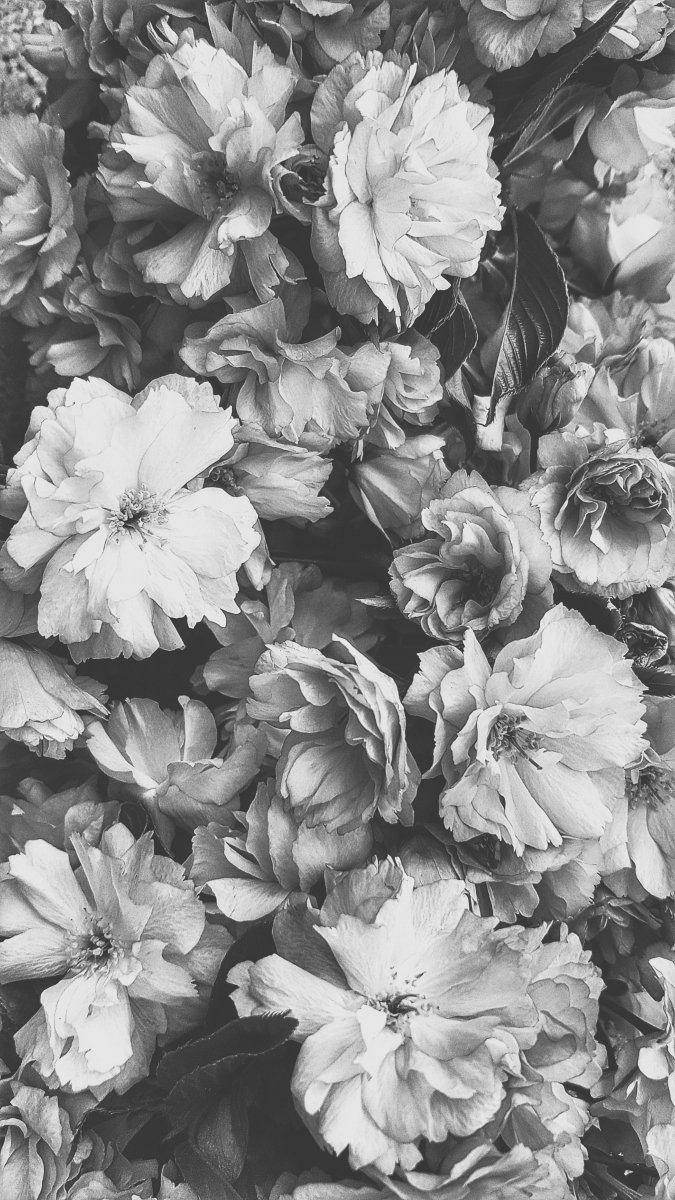 Vintage Blümchen vom Baum geklaut