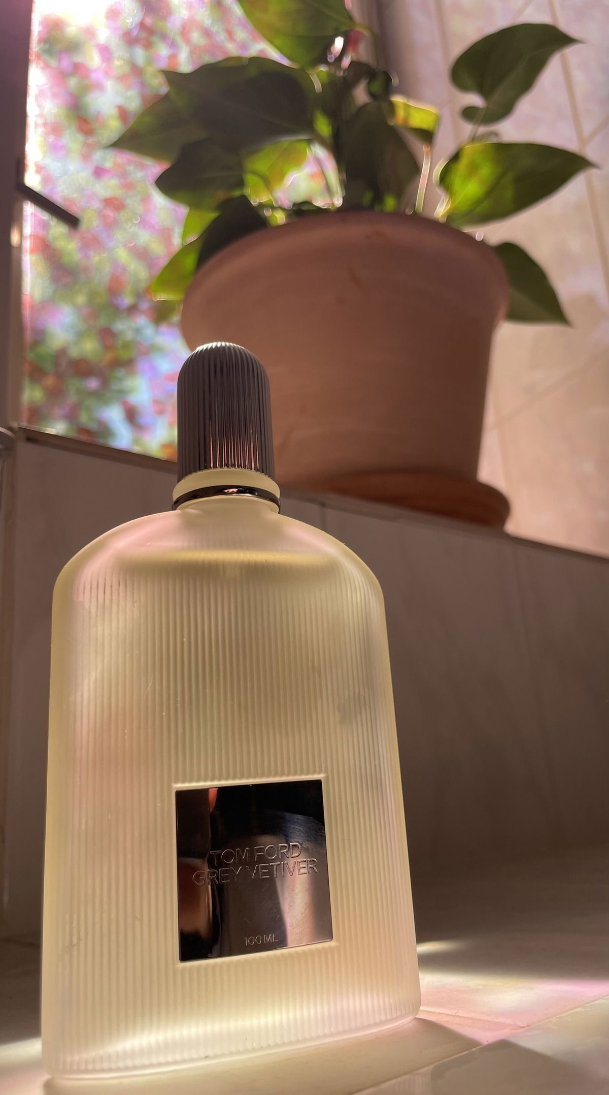 Grey Vetiver
