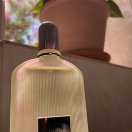 Grey Vetiver