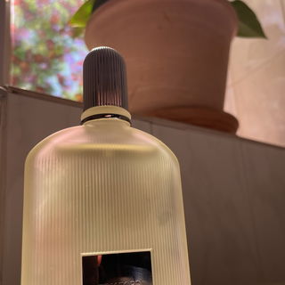 Grey Vetiver