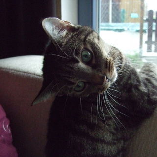 Man beachte bitte den k...