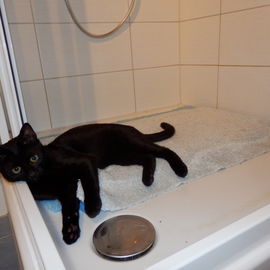 Rasputin hilft beim Aus...