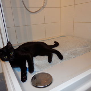 Rasputin hilft beim Aus...