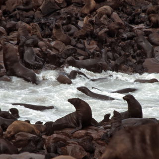 Namibia - Walvis Bay - ...