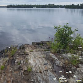 Lake of the Woods Idyll...