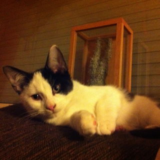 We proudly present our ...