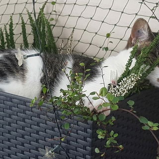 Mia´s Lieblingsplatz.....