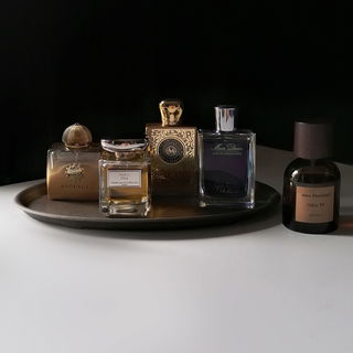 Some of my tuberose per...