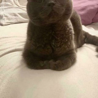 20 Jahre hattest du uns...