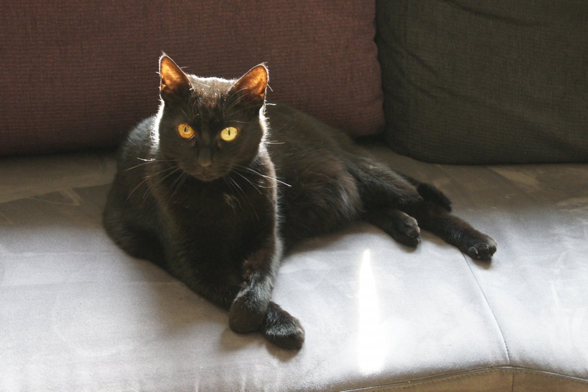 When fat, arrange in slim poses ;-) Plötzlich Prinzessin