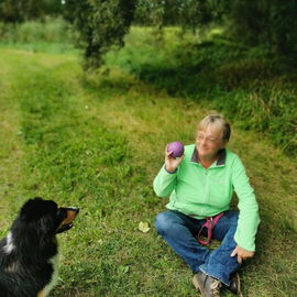 Hundeerziehung leicht g...